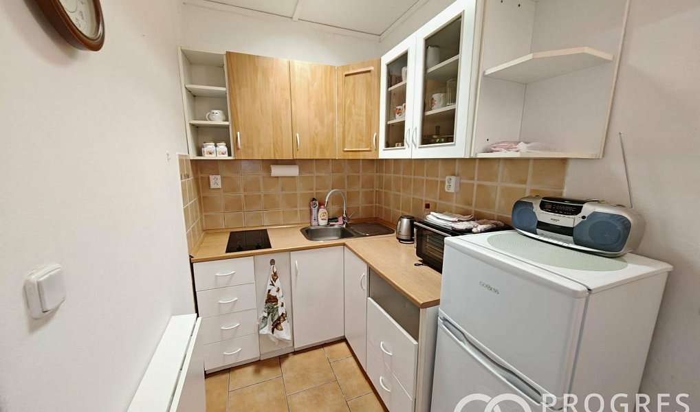 Pronájem bytu 1+kk 28 m², Kroměříž – náhled fotky 2