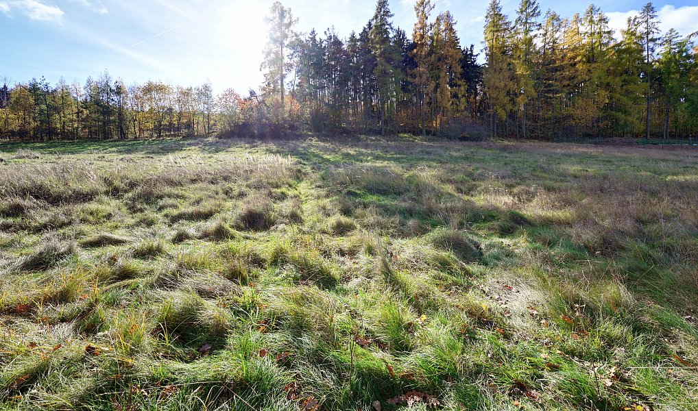 Prodej stavebního pozemku 1 217 m², Daleké Dušníky – náhled fotky 8