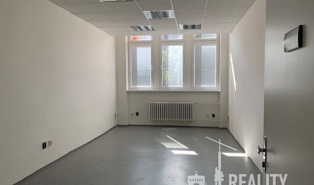 Pronájem kanceláře 347 m², Praha – náhled fotky 16