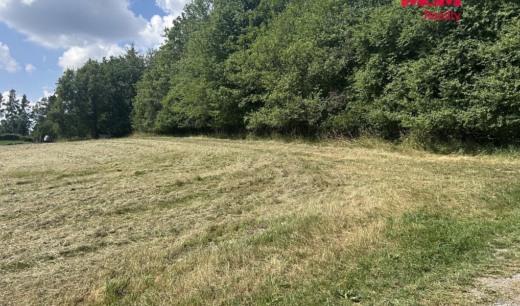 Prodej stavebního pozemku 3 689 m², Zbraslavice – náhled fotky 3
