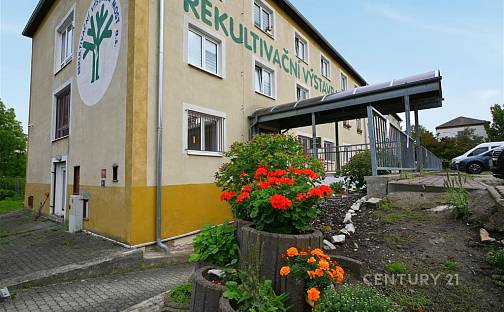 Pronájem bytu 1+1 29 m², Antonína Dvořáka, Most