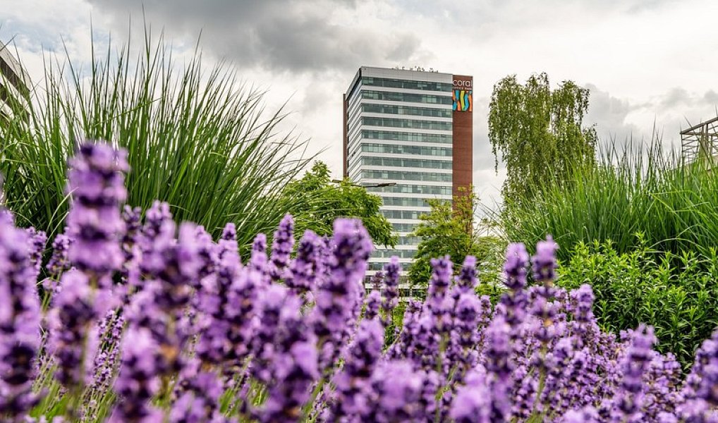 Pronájem kanceláře 280 m², Praha – náhled fotky 2