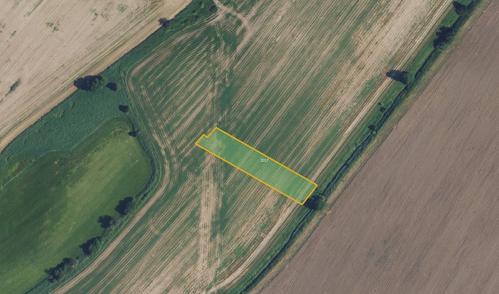 Prodej pole 64 073 m², Chornice – náhled fotky 5