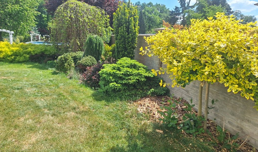 Prodej domu 230 m², Soběslav – náhled fotky 7