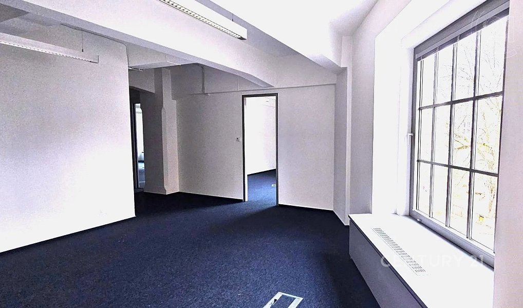 Pronájem kanceláře 369 m², Praha – náhled fotky 6