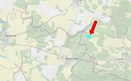 Prodej lesa 15 990 m², Pačejov - Týřovice, okres Klatovy