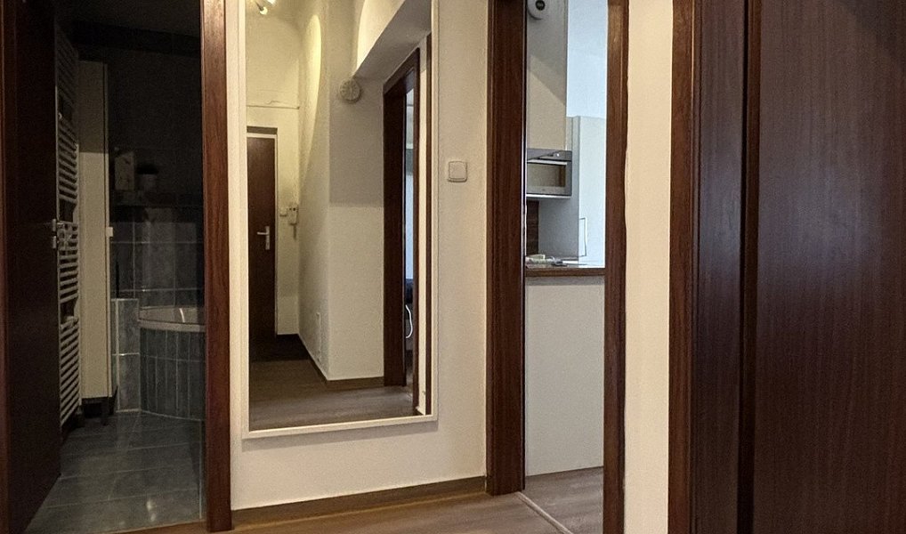 Prodej bytu 3+kk 72 m², Brno – náhled fotky 5