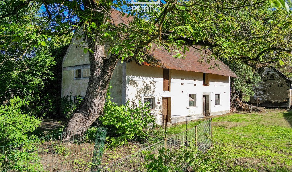 Prodej domu 160 m² s pozemkem 6 540 m², Řenče – náhled fotky 2
