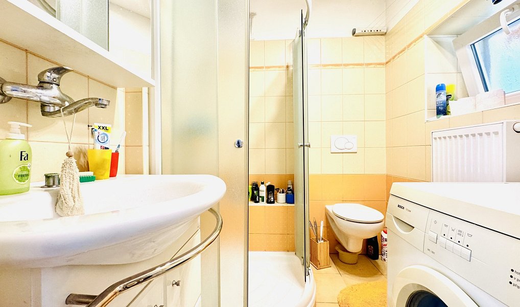 Prodej domu 120 m² s pozemkem 697 m², Lesonice – náhled fotky 3
