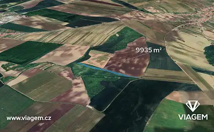 Prodej pole 4 967 m², Bořetice, okres Břeclav