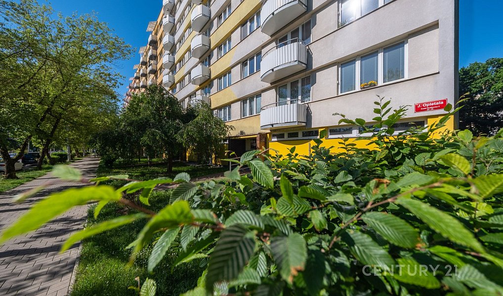 Prodej bytu 1+1 36 m², České Budějovice – náhled fotky 15