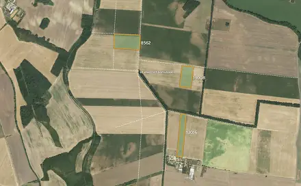 Prodej pole 90 356 m², Hrušovany nad Jevišovkou, okres Znojmo