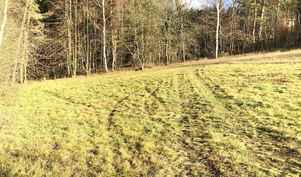 Prodej stavebního pozemku 2 361 m², Osečná – náhled fotky 5