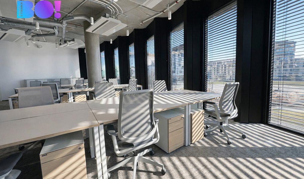 Pronájem obchodních prostor 300 m², Ostrava – náhled fotky 12