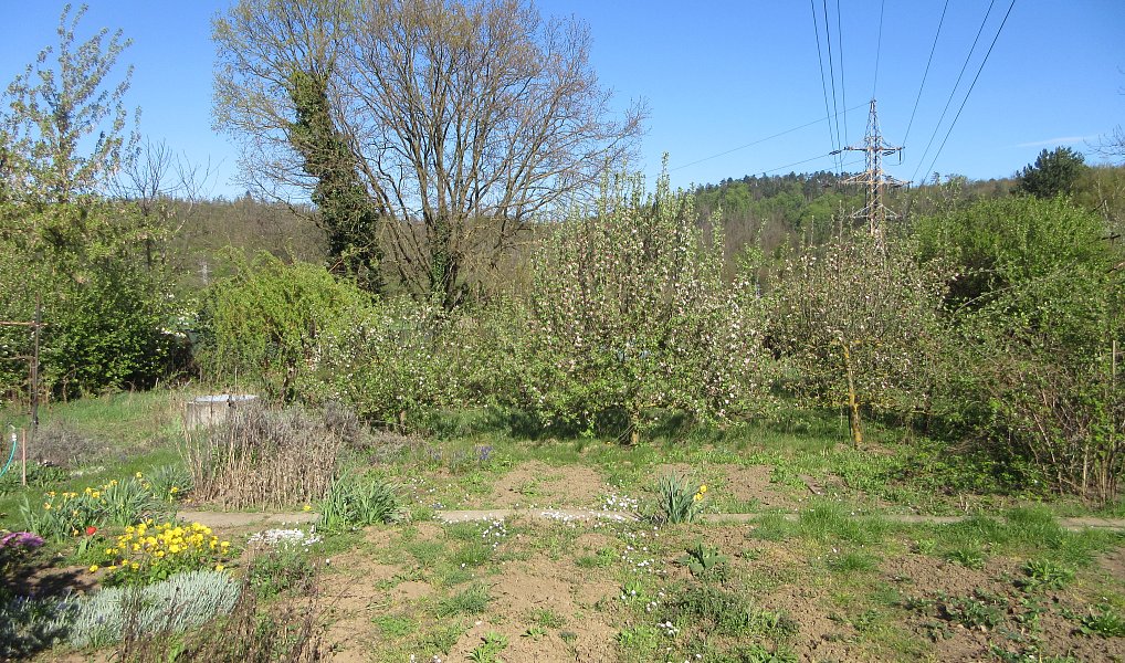 Prodej zahrady 1 392 m², Brno – náhled fotky 9