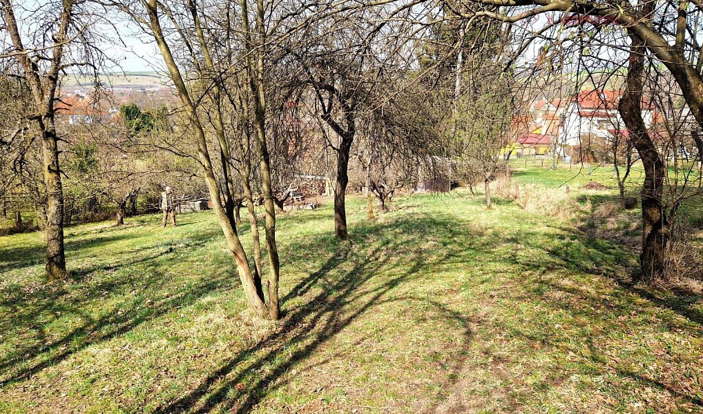 Prodej stavebního pozemku 2 619 m², Záhorovice – náhled fotky 9
