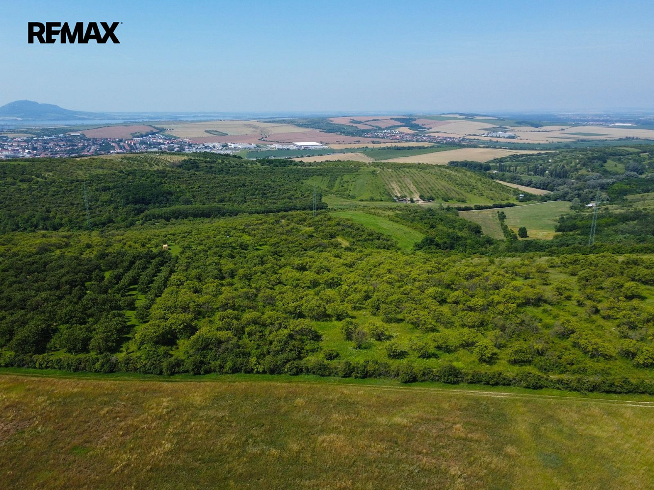 Prodej pozemku 3 780 m² – fotografie 3