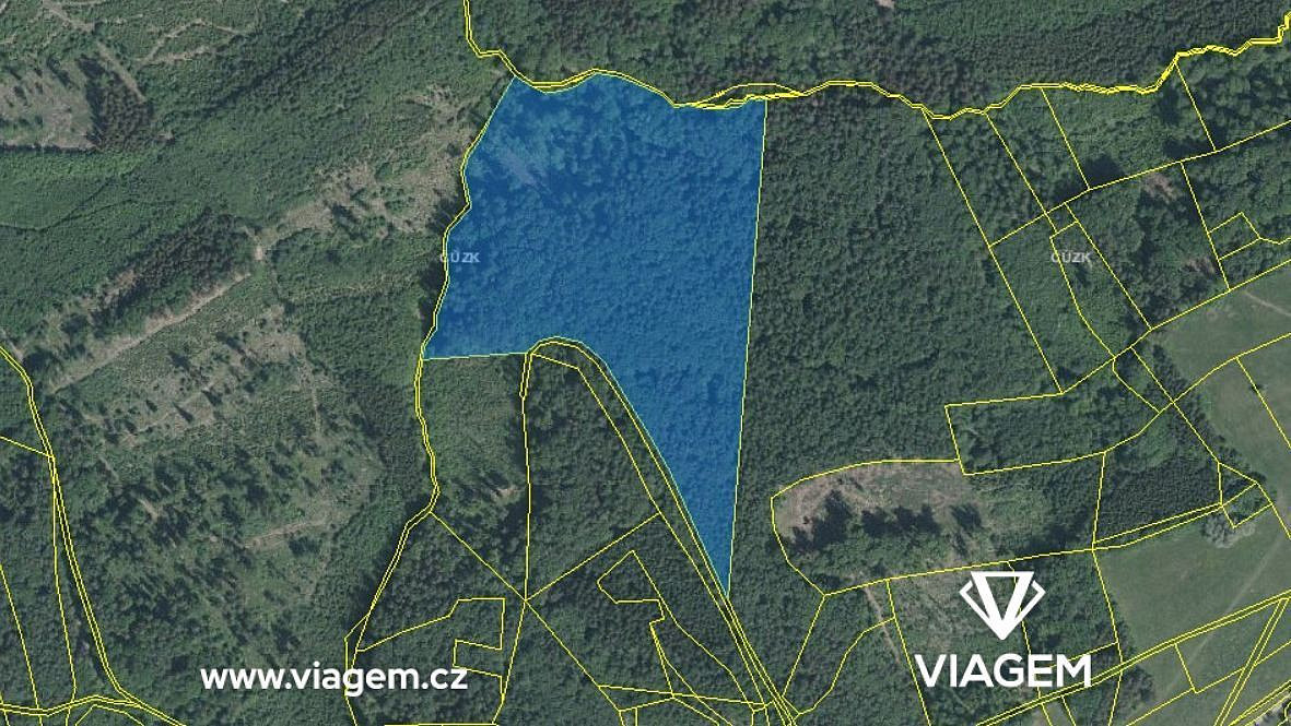 Prodej pole 6 084 m²