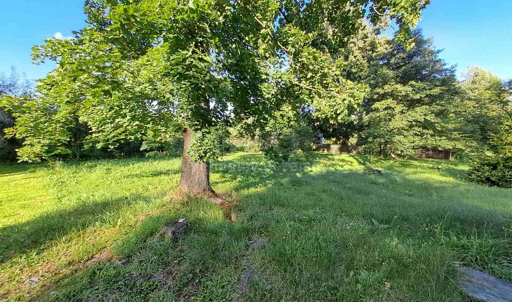Prodej zahrady 719 m², Město Albrechtice – náhled fotky 6