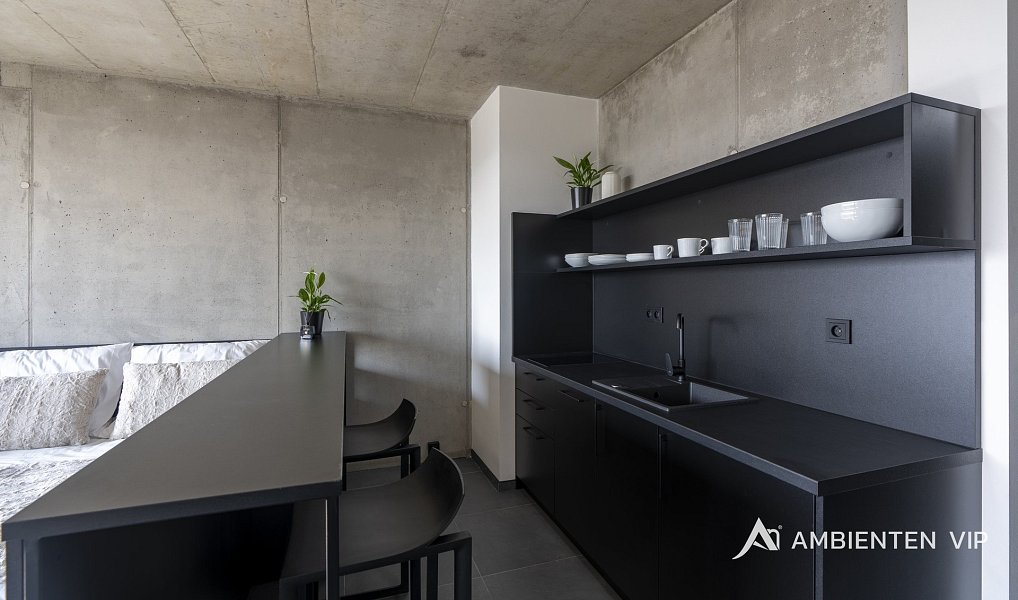 Pronájem bytu 1+kk 35 m², Brno – náhled fotky 8