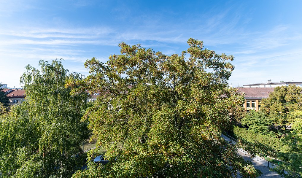 Prodej bytu 2+1 54 m², Praha – náhled fotky 13
