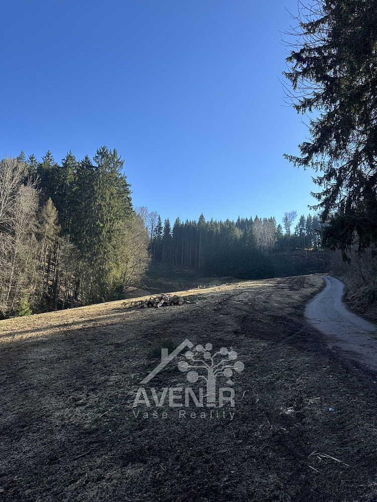 Prodej louky 15 029 m² – fotografie 2