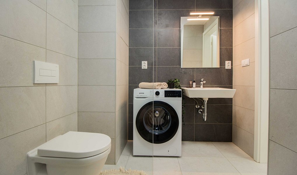 Pronájem bytu 1+kk 29 m², Brno – náhled fotky 3