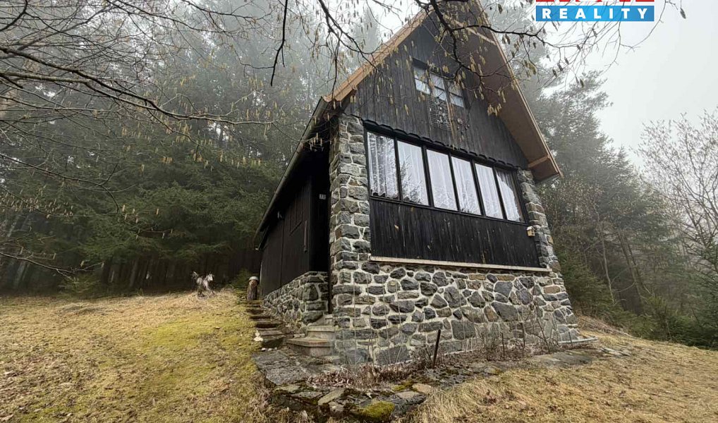 Prodej chaty/chalupy 75 m² s pozemkem 1 m², Borovnice – náhled fotky 9
