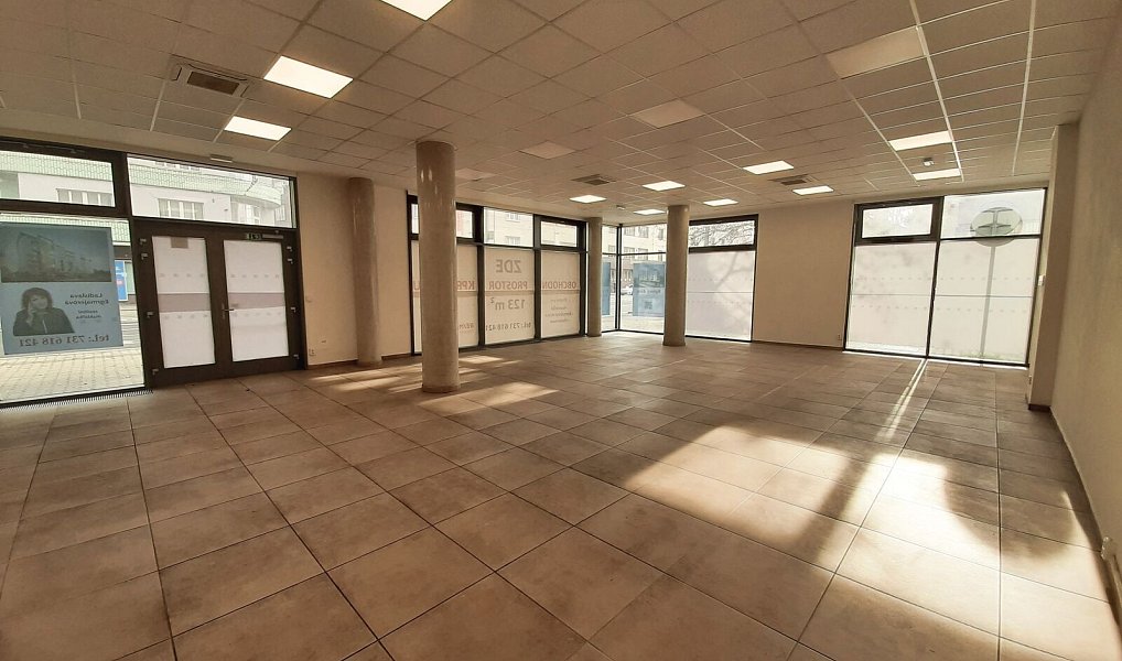 Pronájem obchodních prostor 123 m², Plzeň – náhled fotky 4