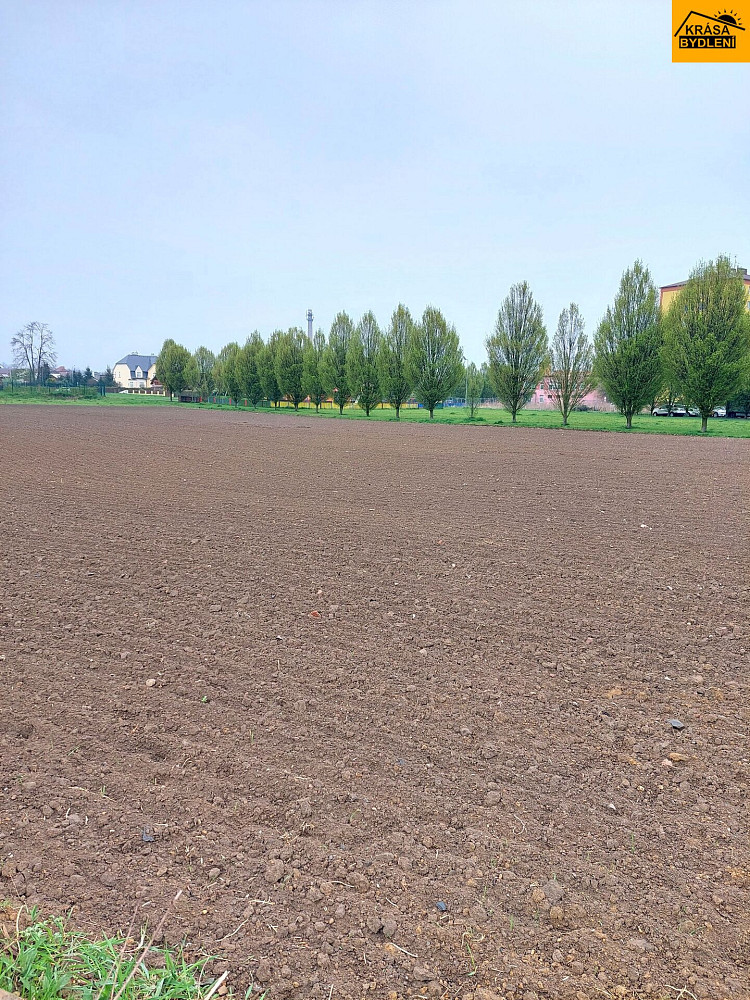 Prodej komerčního objektu (jiného typu) 2 771 m² — photo 5