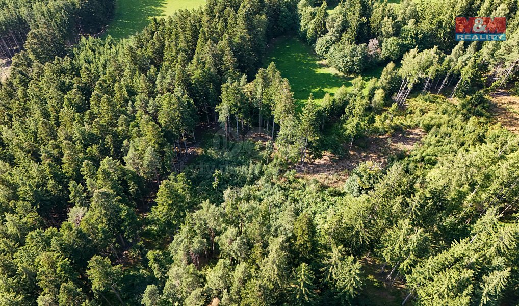 Prodej lesa 15 707 m², Petrovice u Sušice – náhled fotky 19