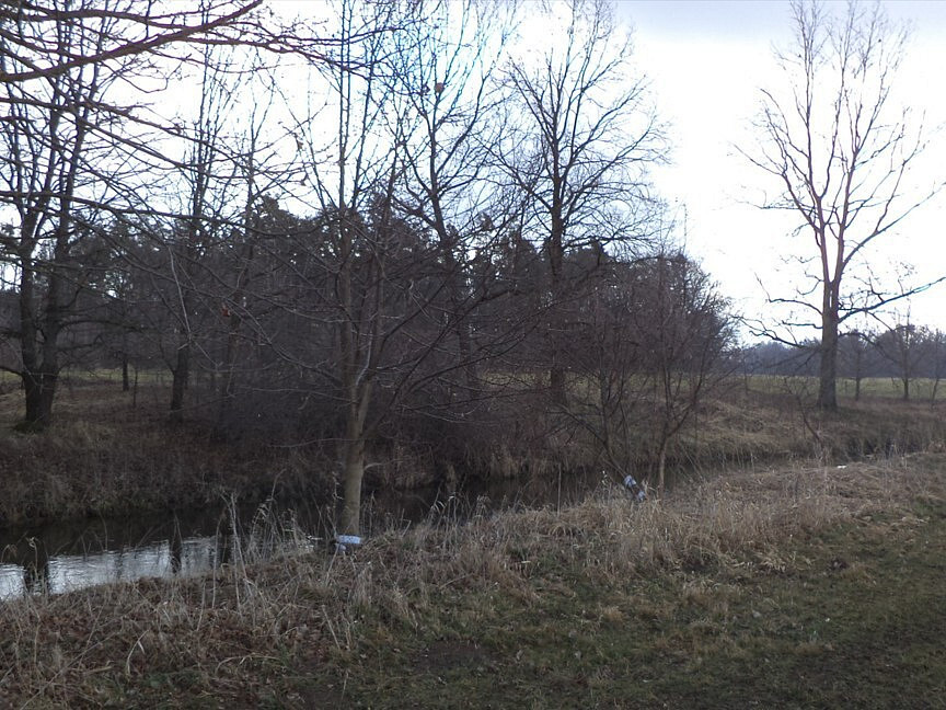 Dražba louky 552 m² — photo 2