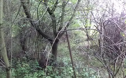 Dražba stavebního pozemku 1 714 m², Skuteč