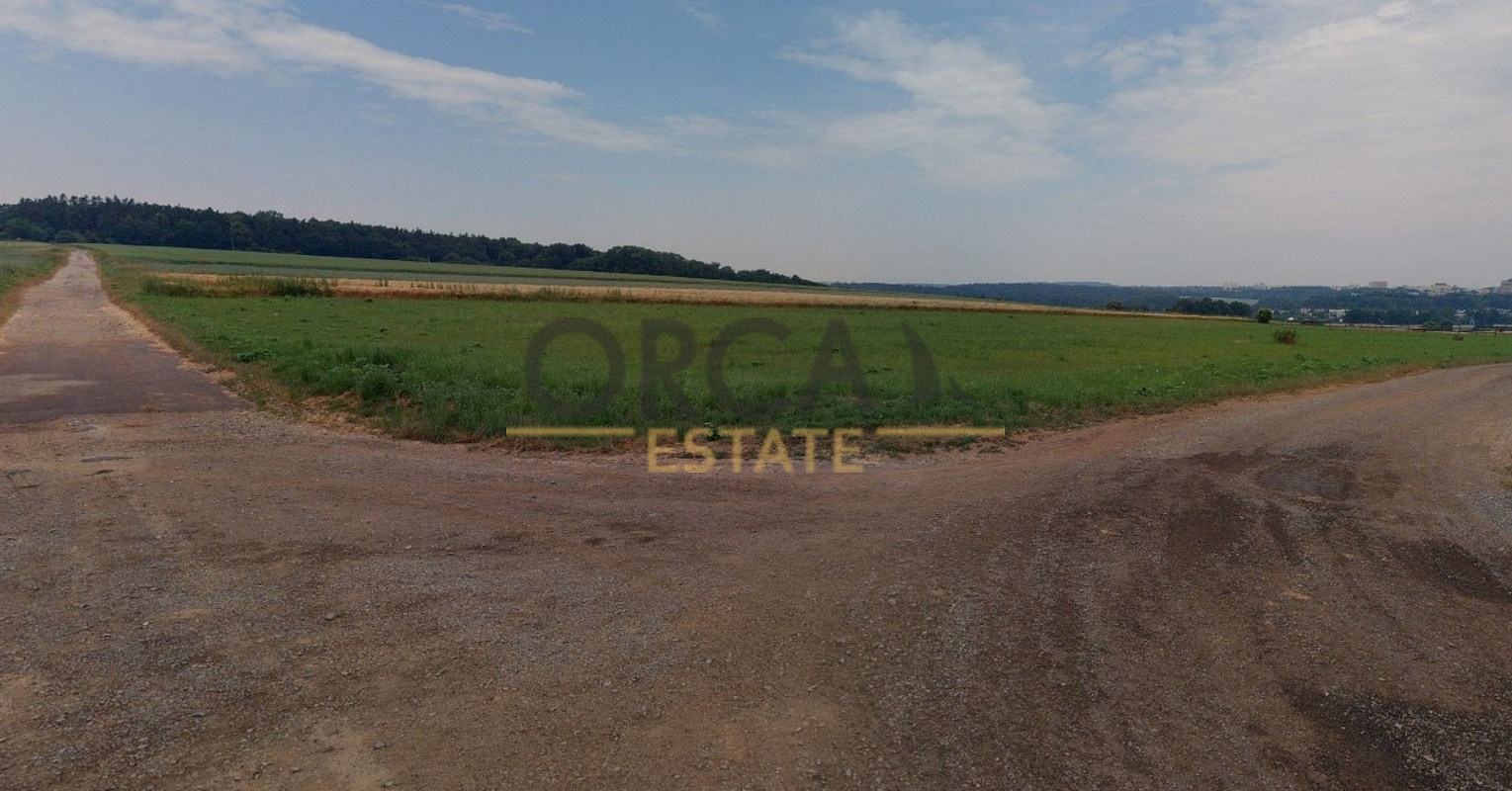 Prodej pole 3 534 m² – fotografie 4
