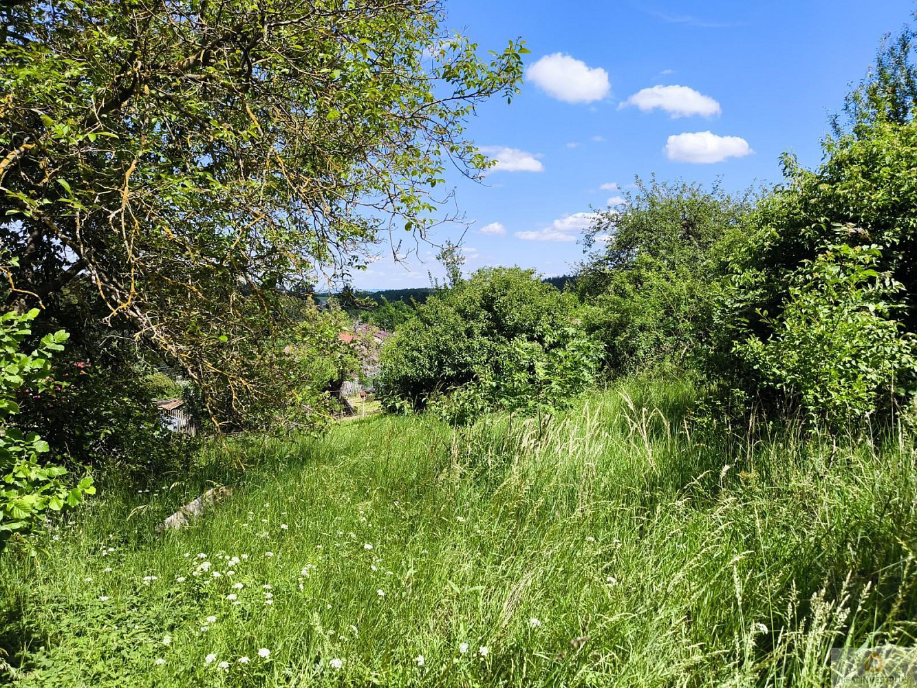 Prodej stavebního pozemku 1 283 m² – fotografie 3