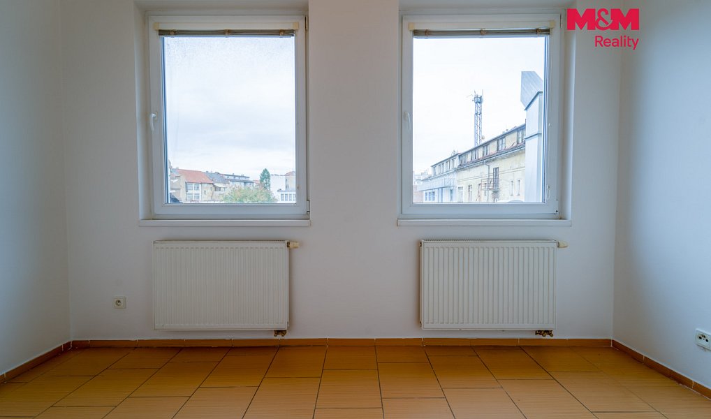 Pronájem bytu 1+1 65 m², Plzeň – náhled fotky 8