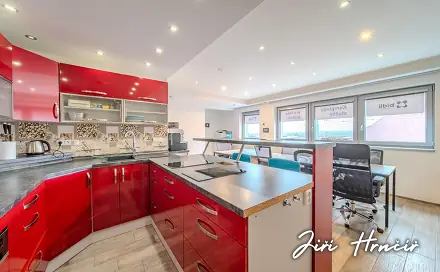 Prodej domu 176 m² s pozemkem 96 m², Nepomucká, Plzeň - Černice