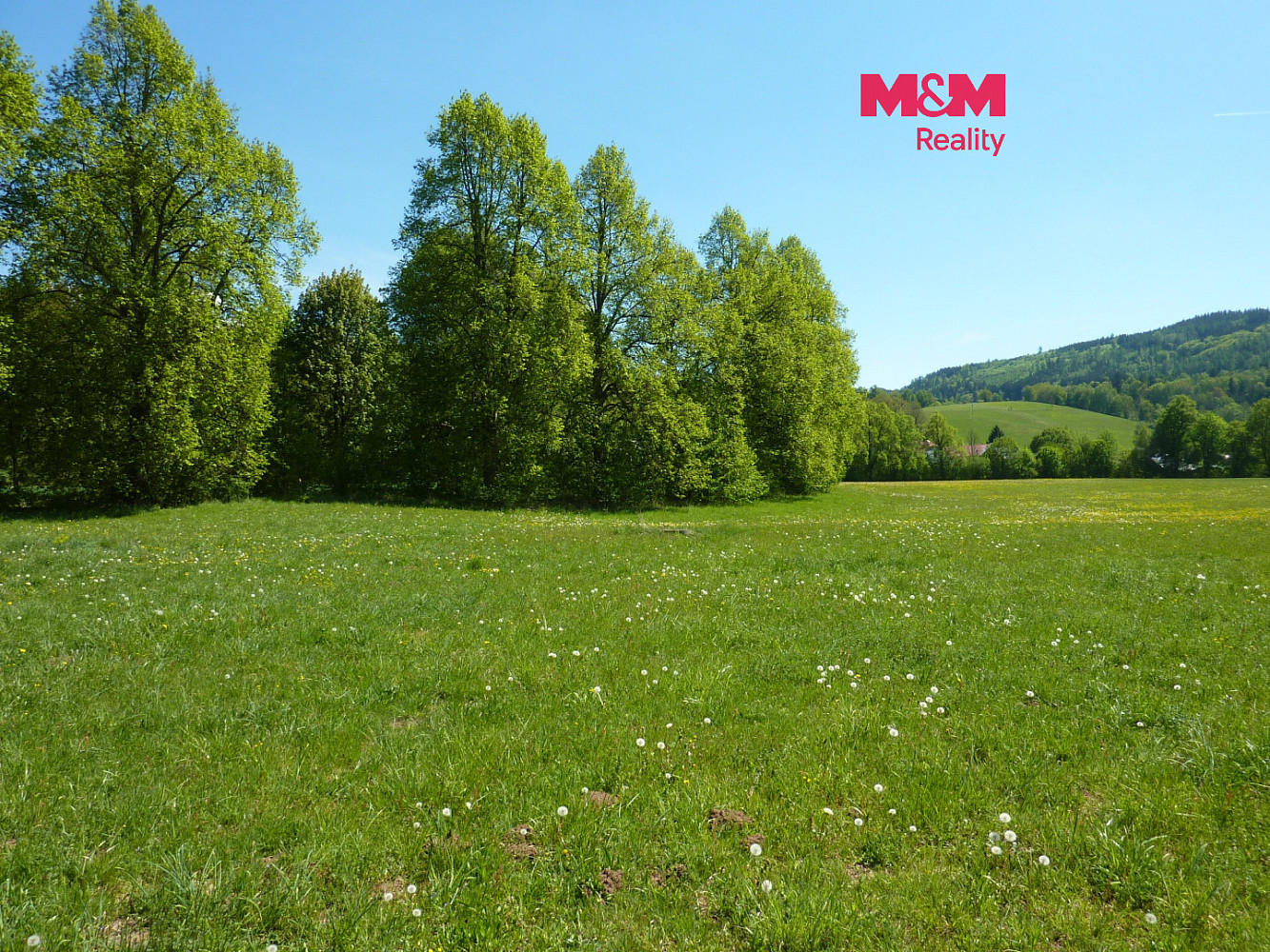 Prodej louky 26 090 m²