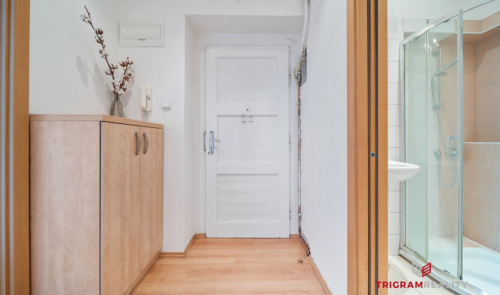 Prodej bytu 2+kk 48 m², Hradec Králové – náhled fotky 2