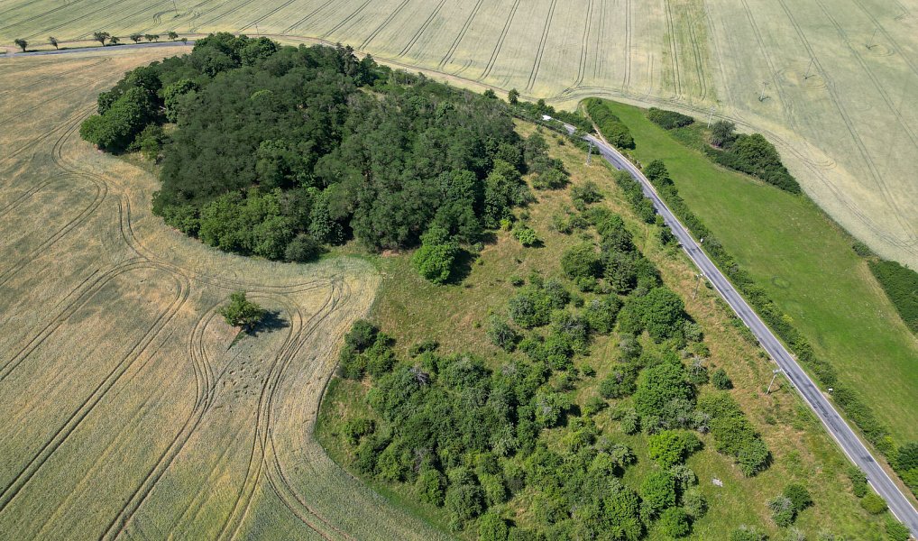 Prodej zahrady 16 882 m², Zvíkovec – náhled fotky 6