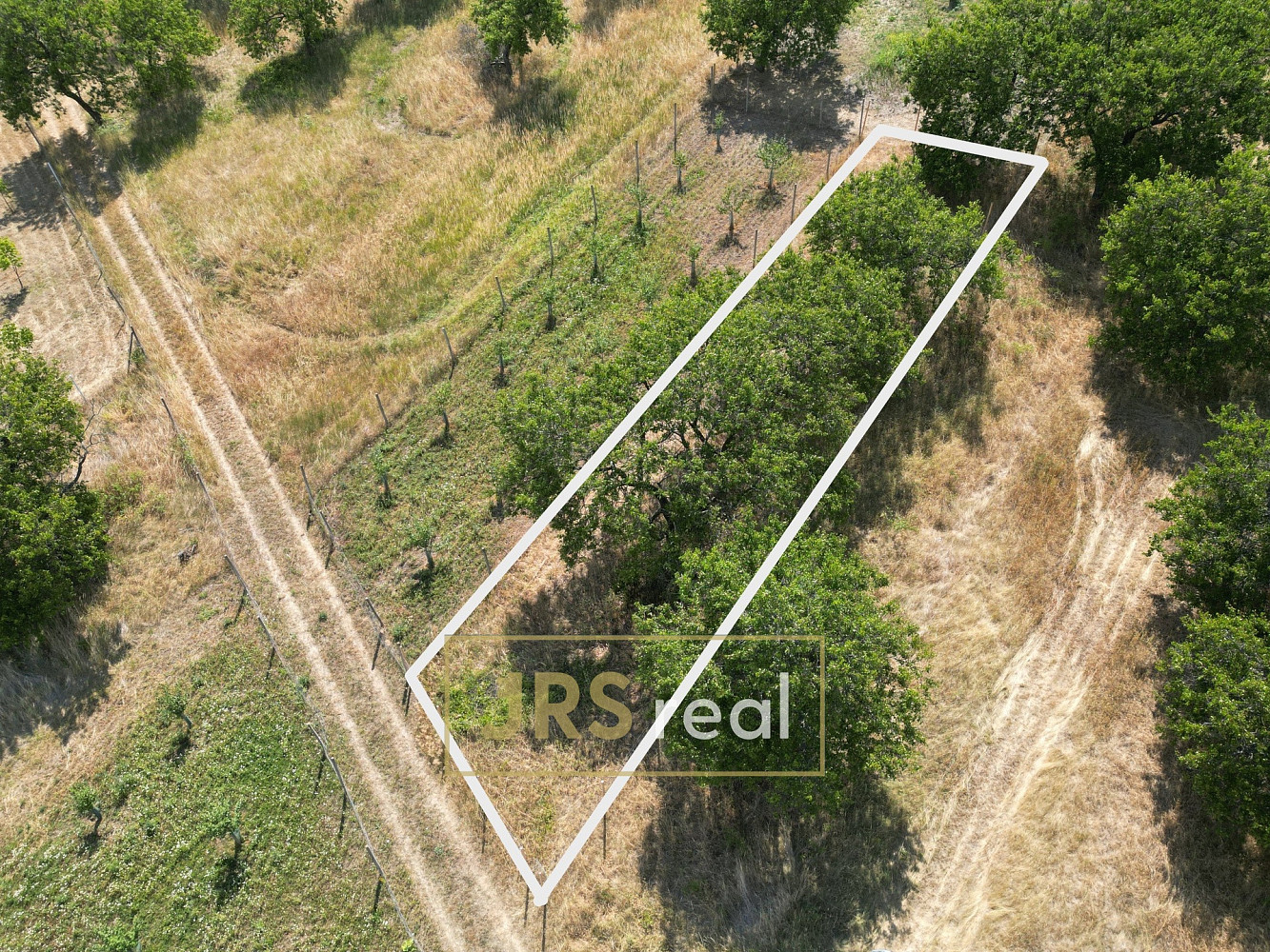 Prodej pole 358 m² – fotografie 2