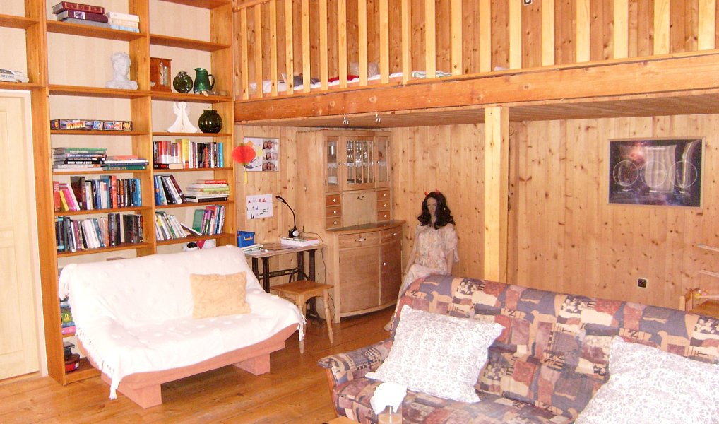 Prodej domu 420 m² s pozemkem 424 m², Vysoké Mýto – náhled fotky 11