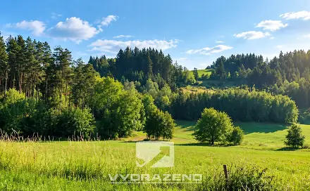 Prodej louky 3 946 m², Levínská Olešnice, okres Semily