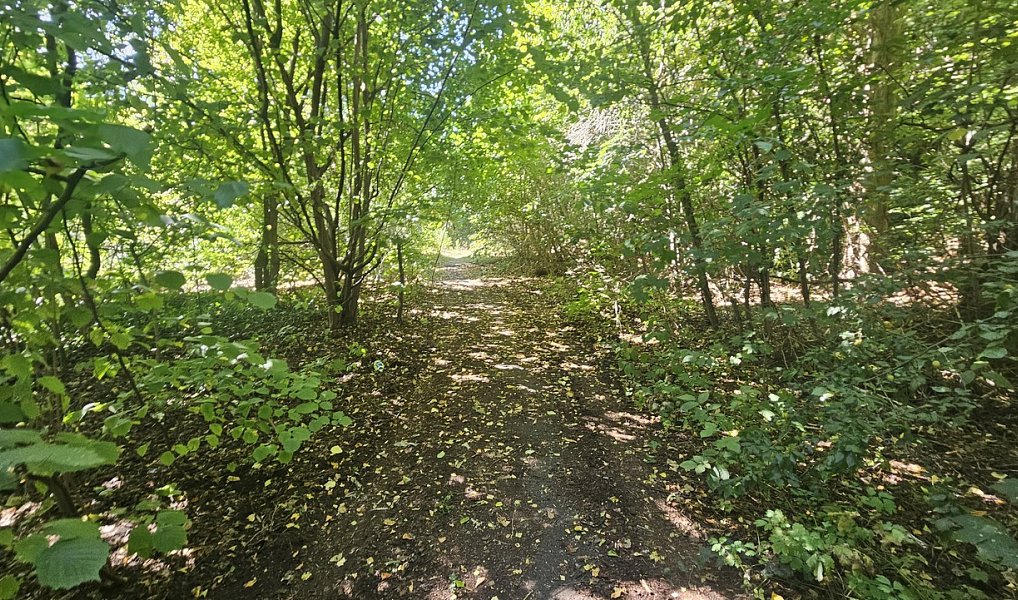 Prodej stavebního pozemku 5 391 m², Ústí nad Labem – náhled fotky 16