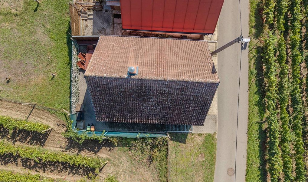 Prodej ostatní Vinný sklep, 43m2, Bulhary, Bulhary – náhled fotky 29