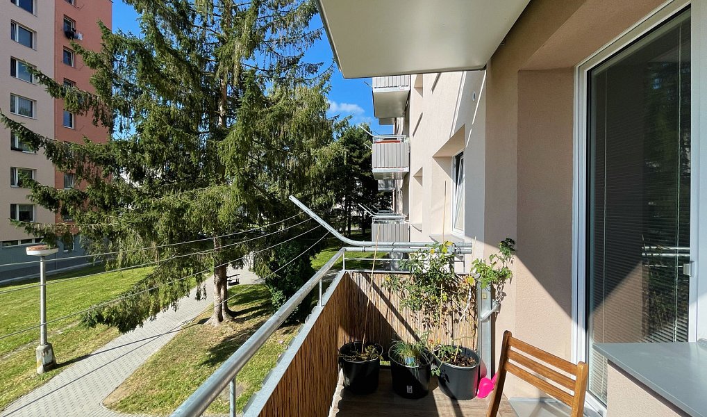 Pronájem bytu 1+1 40 m², Písek – náhled fotky 9