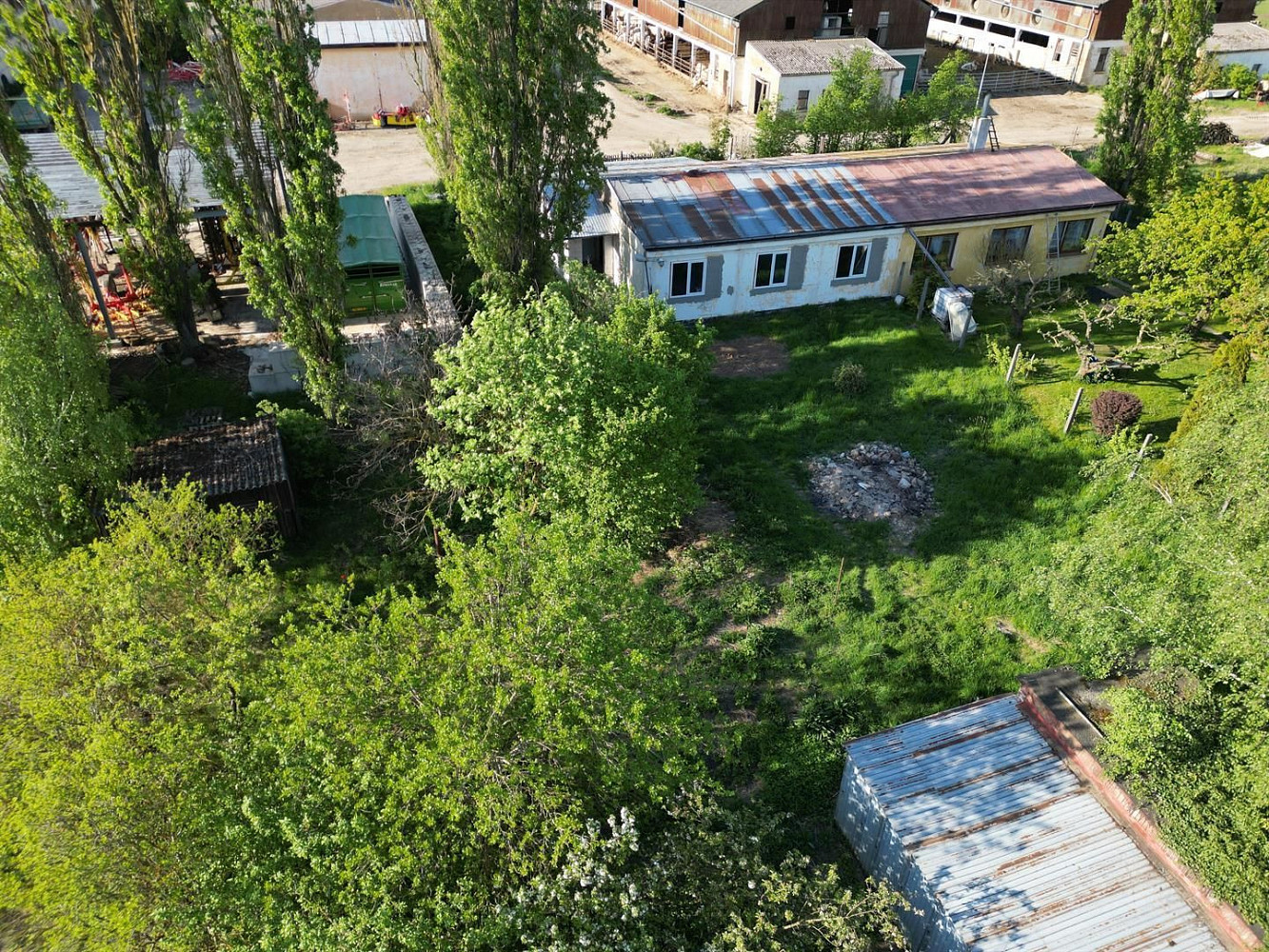 Fotka 5 z 14