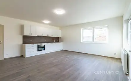 Pronájem bytu 1+kk 41 m²