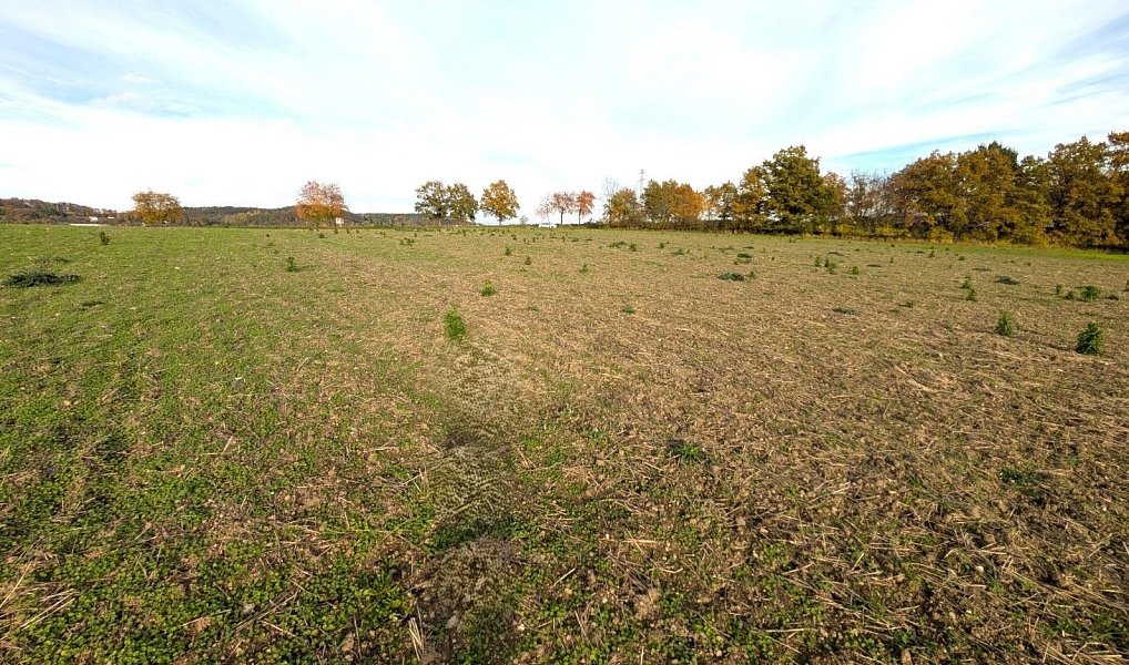 Prodej stavebního pozemku 3 986 m², Strakonice – náhled fotky 4
