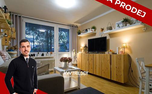 Prodej bytu 2+kk 48 m², Trnovanská, Teplice - Trnovany